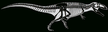 Giganotosaurus