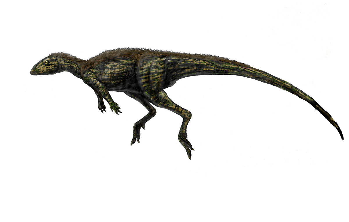 Resultado de imagen de kangnasaurus