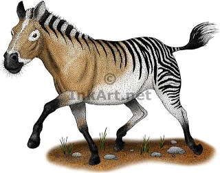 Equus scotti Wiki Prehistórico FANDOM powered by Wikia