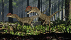 Dilophosaurus by paleoguy-d9r3rie