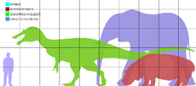 BARYONYX COMPARISON