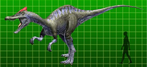 Irritator