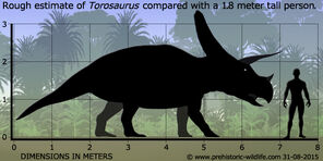 Torosaurus-size