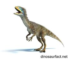 Guanlong3