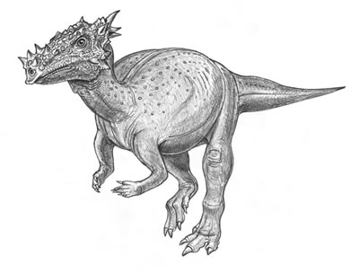 Resultado de imagen de Dracorex