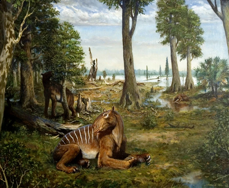 Burdigaliano Wiki Prehistórico FANDOM powered by Wikia