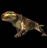 Cynodontia