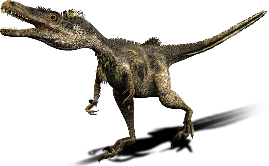 Imagen Velociraptor Dino Largepng Wiki Prehistórico Fandom Powered By Wikia 