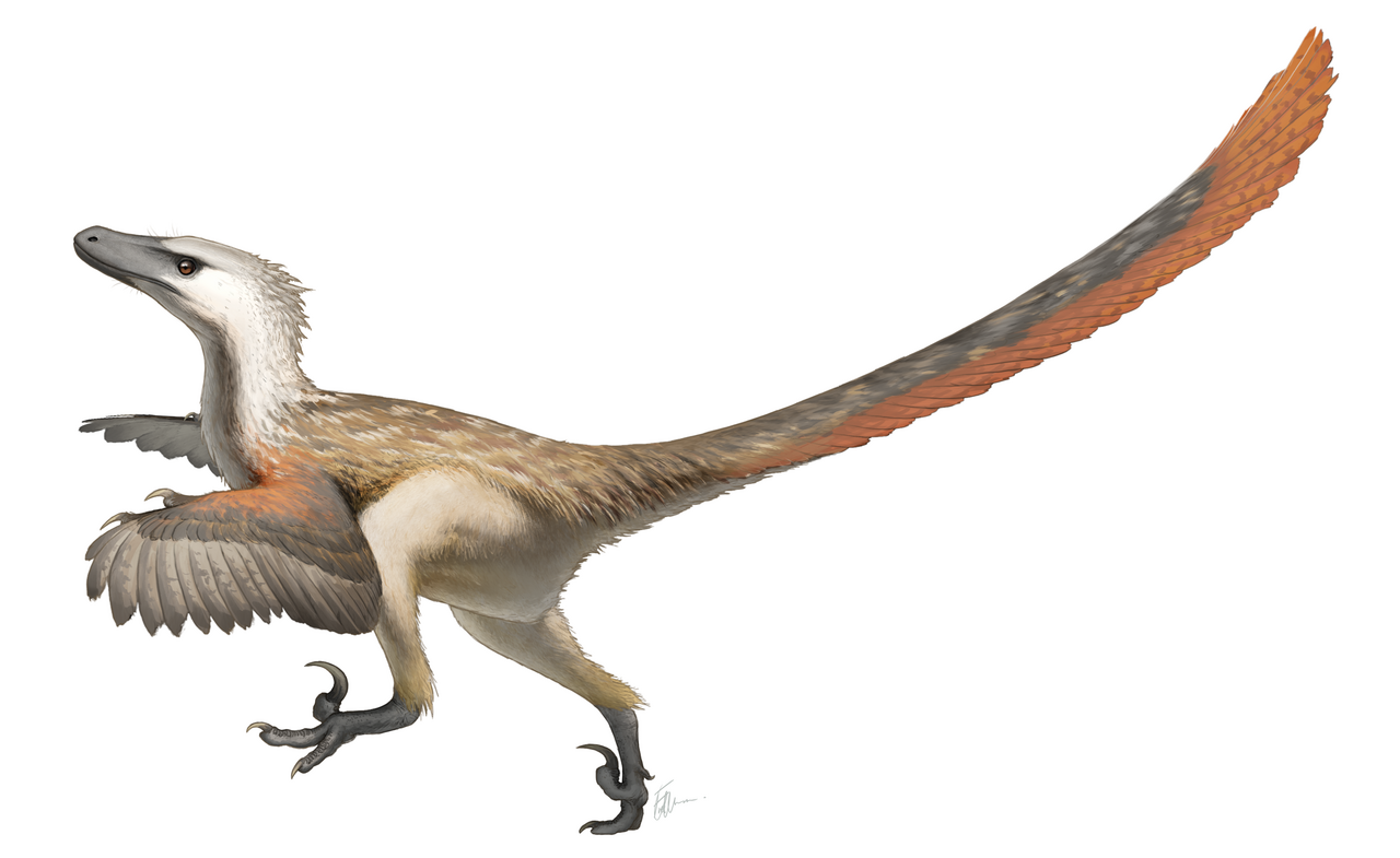 Resultado de imagen de velociraptor