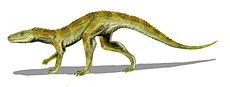 230px-Hesperosuchus BW