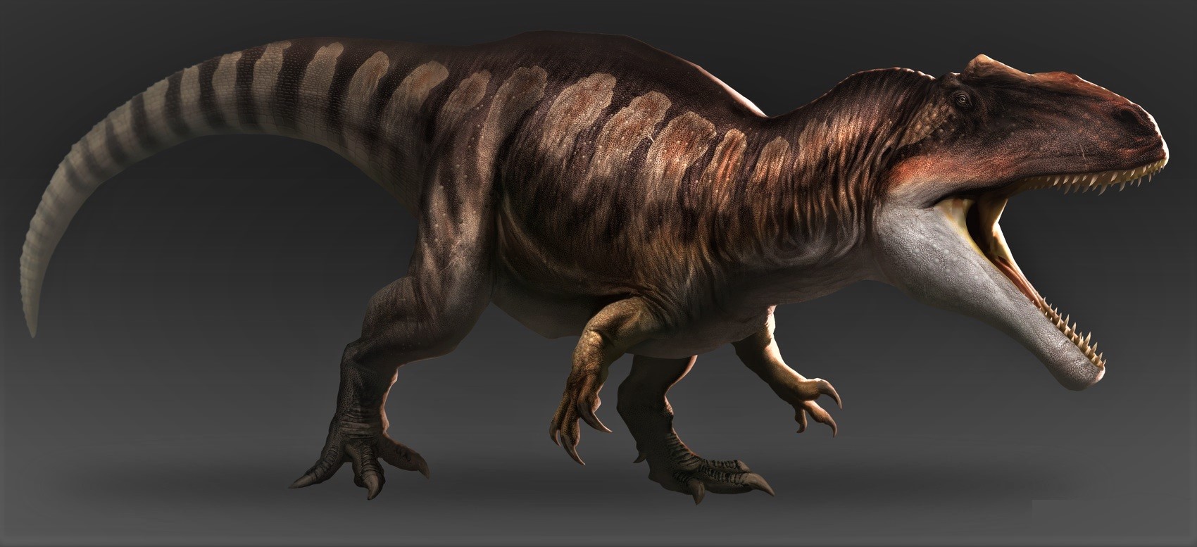 Giganotosaurus | Wiki Prehistórico | FANDOM powered by Wikia