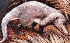 Cynodontia 2