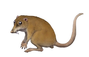 Cronopio Wiki Prehistórico Fandom