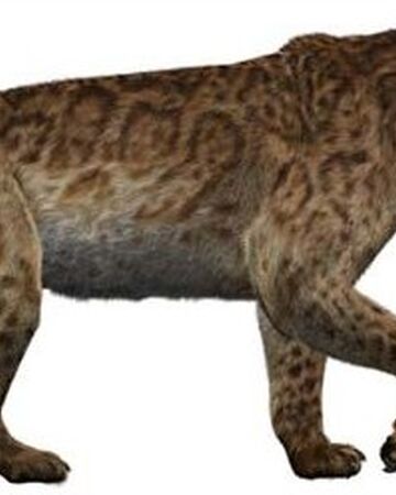 Smilodon Wiki Prehistorico Fandom
