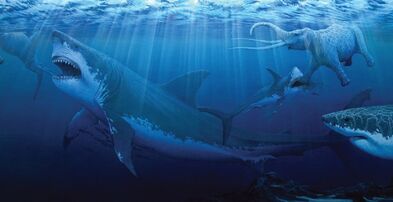 Sharks-megalodon-giant