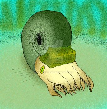 Cravenoceras malhamense by avancna-d2f9w0u