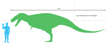 TamañoAlbertosaurus