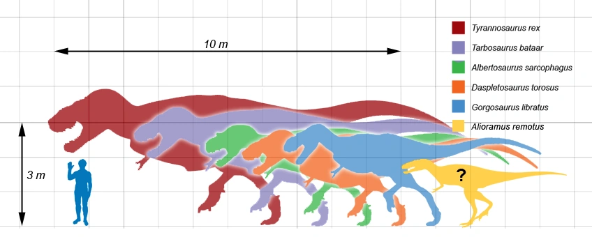 Tyrannosauridae Wiki Prehist rico Fandom tyrannosauridae-wiki-prehist-rico-fandom
