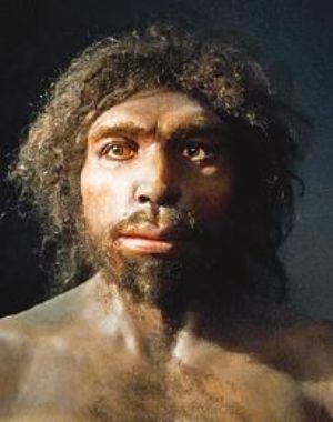 Resultado de imaxes para homo antecessor