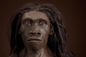 Resultado de imagen de Homo erectus soloensis