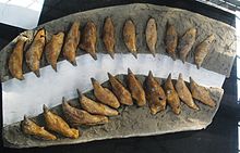 Acrophyseter deinodon-0