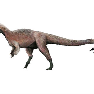 Yutyrannus Wiki Prehistorico Fandom Powered By Wikia - los yutyrannus descritos en 2012 son los dinosaurios mas grandes conocidos con plumas piel fosilizada muestra plumas peludas en el cuerpo similares a un