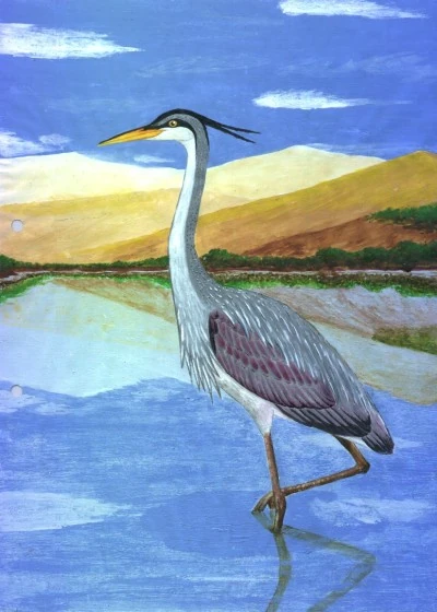 Ardea bennuides Wiki Prehistórico FANDOM powered by Wikia