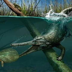 Champsosaurus | Wiki Prehistórico | FANDOM powered by Wikia