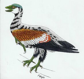Archaeorhynchus