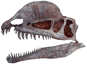 Dilophosaurus