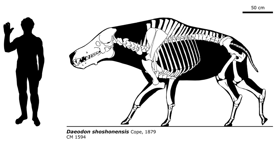 El Cerdo Del Infierno