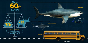 Megalodonr