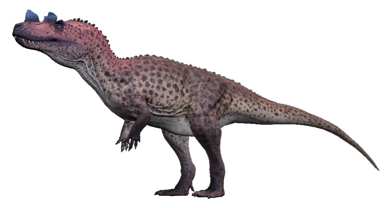 Ceratosaurus  Wiki Prehistórico  FANDOM powered by Wikia