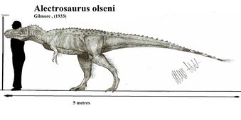 Alectrosaurussize