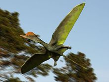 220px-Darwinopterus NT