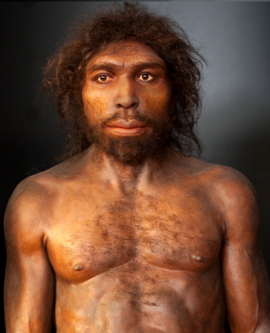 Homo rhodesiensis