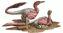 Dinosaurios Nido