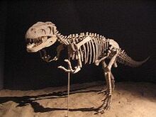 250px-Gasosaurus