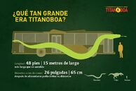 Bvg bPgIIAABWT6