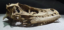 220px-Dinosaur 99