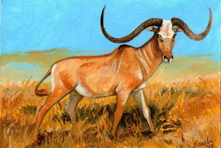 Megalotragus Wiki Prehistórico FANDOM powered by Wikia