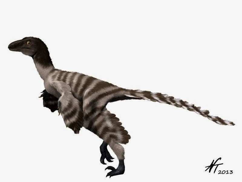 Imagen Geminiraptor NT 3243.jpg Wiki Prehistórico FANDOM powered