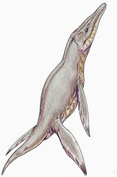 170px-PliosaurusDB12