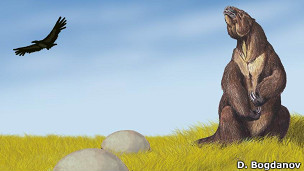 Megatherium y Glyptodon