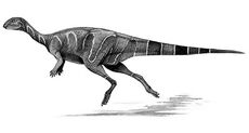 Resultado de imagen de valdosaurus