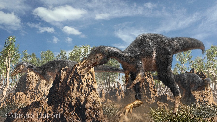 https://vignette.wikia.nocookie.net/prenistoricpark/images/1/19/Alvarezsaurus_20140819_d5c6.jpg/revision/latest?cb=20160830052245&path-prefix=ru