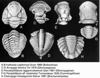 Permian