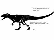 Saurophaganax skeleton