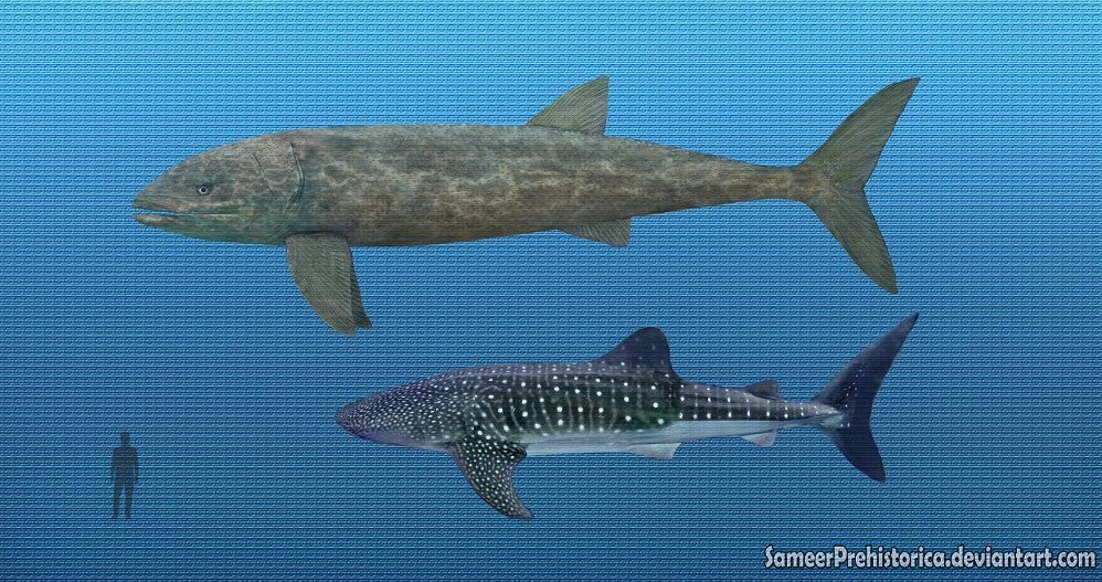 Изображение - Leedsichthys by sameerprehistorica-d76ehye ...