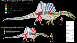 Spinosaurus reconstruction